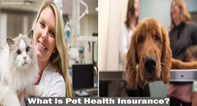 Pet Health Insurance