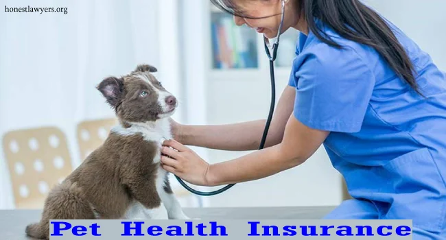 Pet Health Insurance