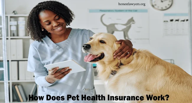 Pet Health Insurance